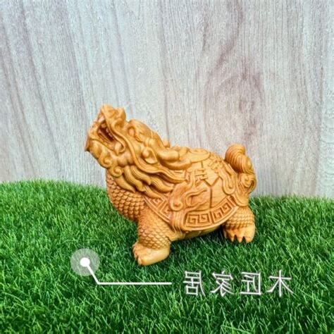 龍龜 風水